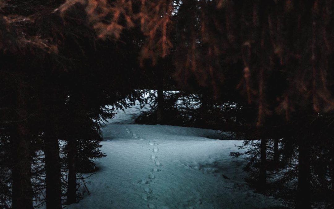 La mappa non è il territorio